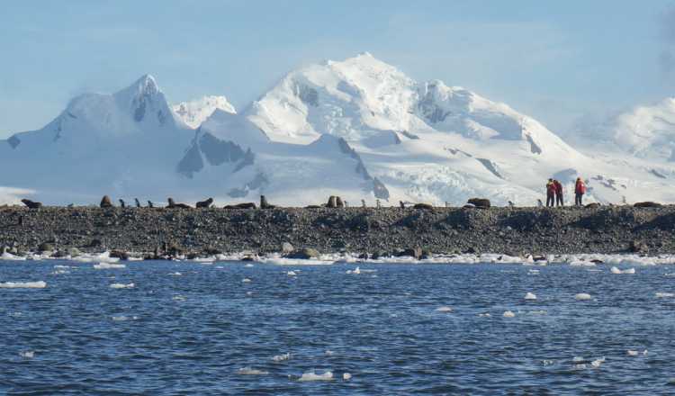 12-12-foto-puteshestviye-v-antarktidu