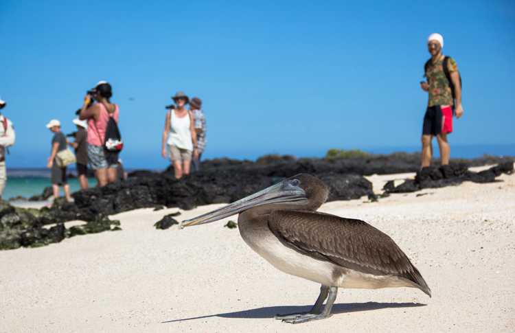 4-ostrova-galapagos-foto