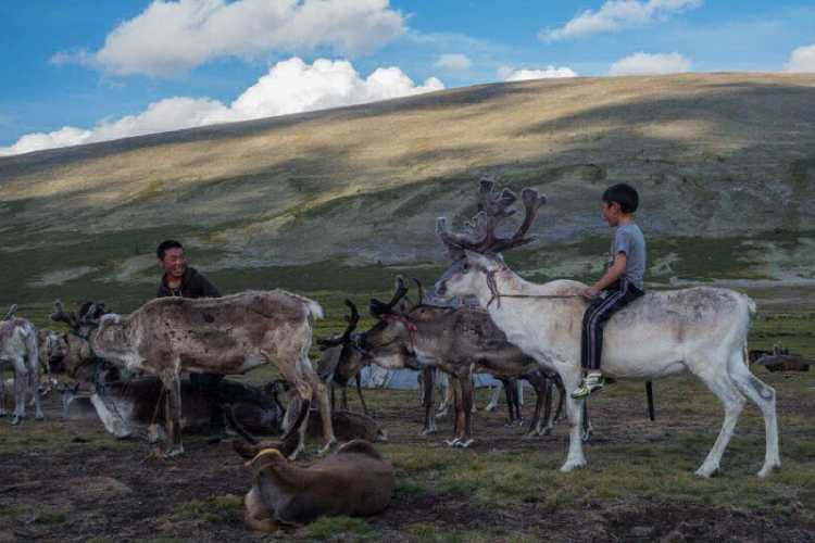 17-17-foto-mongolskogo-plemeni