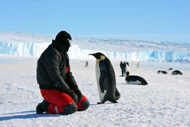 16-17-fotografiy-kotoryye-vas-zastavyat-posetiti-antarktidu